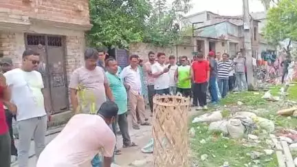 ইংরেজবাজার: চার্চ পল্লী, উত্তর সানি পার্ক সহ একাধিক এলাকায় বৃক্ষরোপণ কর্মসূচি ২৮ নম্বর ওয়ার্ড নাগরিক কমিটির