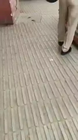 सुल्तानपुर: सुल्तानपुर बस स्टेशन परिसर में खड़ी अमेठी डिपो की बस के अंदर परिचालक की संदिग्ध परिस्थितियों में मिली लाश