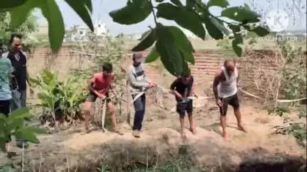 कोरबा: दादर स्थित फार्म हाऊस के कुएं में गिरा भारतीय नाग, खतरे से खेलकर किया गया रेस्क्यू