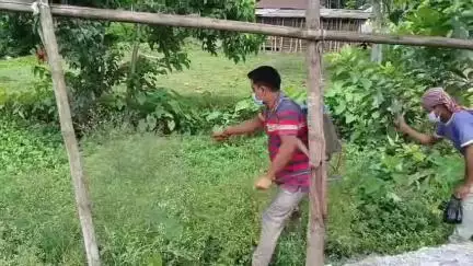 ফালাকাটা: ঢেনারপুল দুর্গা পূজা কমিটির উদ্যোগে এই পার্থেনিয়াম গাছ নিধনে এগিয়ে এলো ক্লাবের সদস্যরা #jansamasya