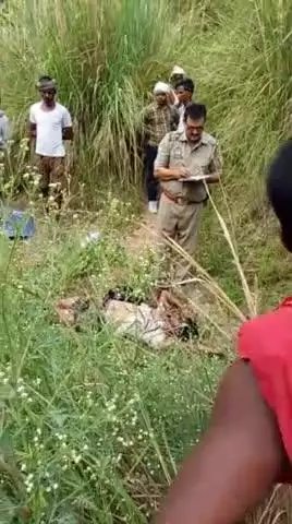 tahshil jalalpur   me ded body Mila hai pachan nahi huaa
gram ,sehri