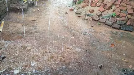 गुमला जिले के घाघरा प्रखण्ड में मानसून की इंट्री हो गई है। आज से झमाझम बारिश हो रही है।