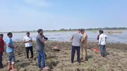 ललितपुर: गोविन्द सागर बांध में युवक का उतराता मिला शव, परिजनों ने हत्या का लगाया आरोप, शव पोस्टमार्टम को भेजा गया
