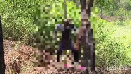 पूर्वी टुंडी: महुवाटांड़ गांव के जंगल में पेड़ पर लटका मिला महिला का शव, मामले की जांच में जुटी पुलिस
