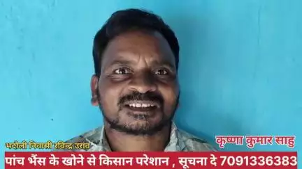 भदौली निवासी रविन्द्र उरांव का बीते सोमवार को 5 भैंस गुम हो गया है, उन्होंने मदत की गुहार लगाई है, 7091336383 में सूचना