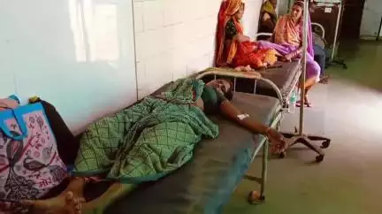 रीठी: बकलेहटा गांव में 25 वर्षीय महिला को बाड़ी में काम करते समय सांप ने काटा, सरकारी अस्पताल में भर्ती
