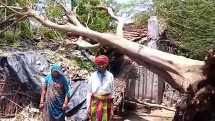 बड़वानी: मानसून की धमाकेदार एंट्री: सिलावद में तेज हवा और बारिश से कहीं घर टूटे, तो कहीं गिरे पेड़