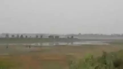 सोहावल: मुख्यमंत्री योगी आदित्यनाथ के ड्रीम प्रोजेक्ट संमदा पक्षी विहार में मछली मारते 4 लोग हुए गिरफ्तार