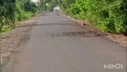 धर्माबाद: धर्माबाद टी पॉईंट ते सिरसखोड रस्त्याचे काम निकृष्ट, महिन्याभरात पडले रस्त्यावर खड्डे #Jansamasya