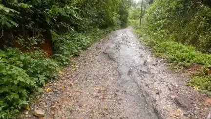 ಮಡಿಕೇರಿ: ಮುಕೋಡ್ಲು ಗ್ರಾಮಕ್ಕೆ ತೆರಳುವ ರಸ್ತೆ ದುರಸ್ತಿಗೆ  ಸ್ಥಳೀಯರ ಆಗ್ರಹ #localissue