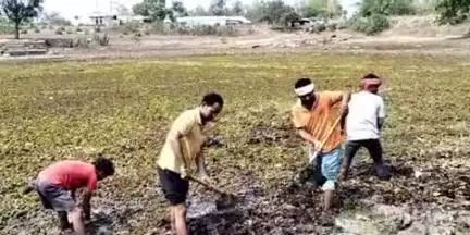 सोहागपुर: बरुका में 'जल गंगा संवर्धन' अभियान के तहत निपनिया तालाब में किया गया श्रमदान, अतिरिक्त मुख्य कार्यपालन अधिकारी रहे मौजूद