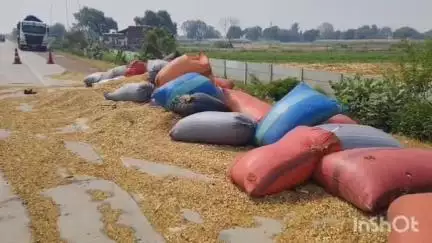 छिबरामऊ: करमुल्लापुर के एक होटल के पास तेज रफ्तार ट्रक ने ट्रैक्टर-ट्राली में मारी टक्कर, एक वृद्ध की मौत, एक महिला और युवक घायल