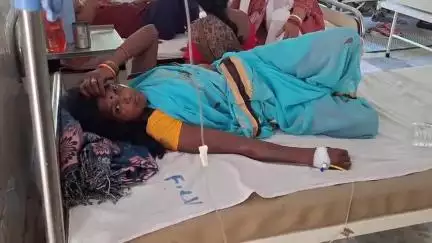 सिमडेगा: सेवई निवासी महिला को जहरीले सांप ने काटा, इलाज के लिए सिमडेगा सदर अस्पताल में भर्ती