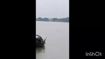 চুঁচুড়া-মগরা: চূঁচূড়ার গঙ্গায় এবার দেখা মিলল কুমিরের