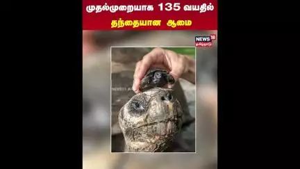 முதல் முறையாக 135 வயதில் தந்தையான ஆமை | Tortoise | N18S