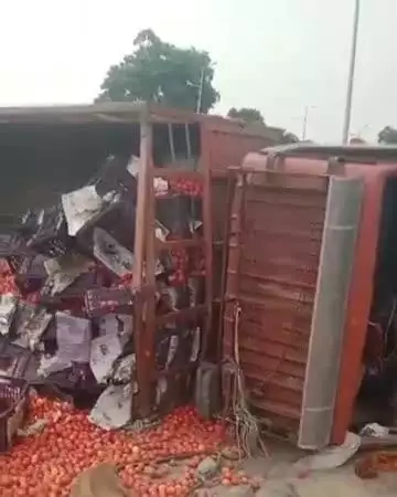 शाहजहांपुर: रोजा थाना क्षेत्र के जमुका ओवर ब्रिज के पास टमाटर लेकर बरेली जा रही डीसीएम अनियंत्रित होकर पलटी