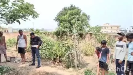 कोरबा: दादर स्थित फार्म हाऊस के कुएं में गिरा भारतीय नाग, खतरे से खेलकर किया गया रेस्क्यू