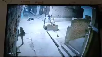 बेतिया: सोनारपट्टी वार्ड 7 में दबंगई, वीडियो वायरल, पीड़ित ने थाने में शिकायत कर कार्रवाई की मांग की