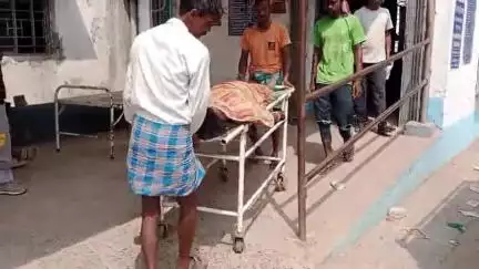 হবিবপুর: উলাতোরে সাপের ছোবলে মৃত্যু মহিলার, পাঠানো হল ময়নাতদন্তে