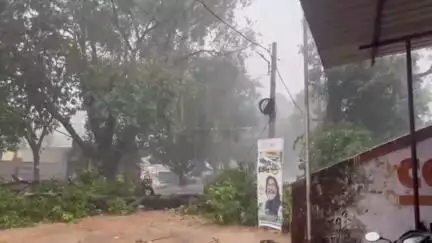 सिमडेगा: सदर अस्पताल के पास पेड़ की डाली गिरने से यातायात में बाधा हो रही उत्पन्न, लोगों ने की जल्द हटाने की मांग