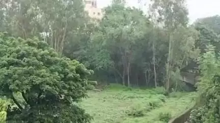 करवीर: कोल्हापूर जिल्ह्याला १५ जूनला यल्लो अलर्ट; राधानगरी धरणातून विसर्ग वाढवणार असल्याने नदीकाठच्या नागरिकांस सतर्कतेचा इशारा