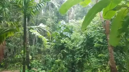 കണ്ണൂർ: അതിതീവ്ര മഴ തുടരുന്നു, ജില്ലയിൽ ഇന്നും നാളെയും റെഡ് അലർട്ട് പ്രഖ്യാപിച്ചു