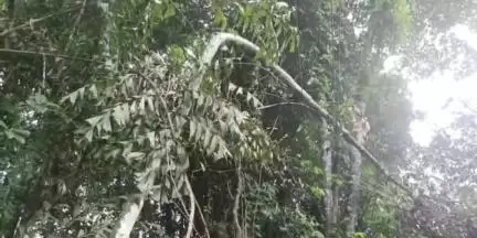 കുന്നത്തൂർ: ഇവിടം താണ്ടിയാൽ ദൈവാധീനം, ചാണായിക്കുന്നം ക്ഷേത്രത്തിന് സമീപം പതിയിരിക്കുന്നത് വലിയ അപകടം #localissue