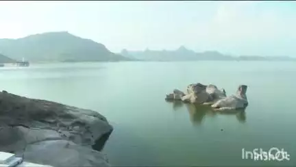 ઇડર: ઉત્તર ગુજરાતની જીવાદોરી સમાન ધરોઈ ડેમમાં જળ પુરવઠો ૩૮.૮૮ ટકા પાણી બચ્યું