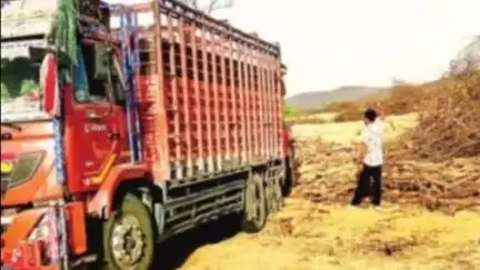 नैनवां: रामगढ़ टाइगर रिजर्व के कोर क्षेत्र में वनकर्मियों द्वारा चोरी की लकड़ियां ट्रक में भरकर बेची जा रही हैं