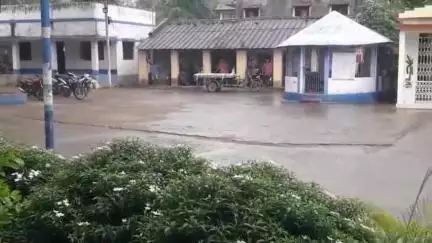 কৃষ্ণগঞ্জ: সকাল থেকে বৃষ্টি হলেও ভ্যাপসা গরমে প্রাণ ওষ্ঠাগত দাবী এলাকাবাসীর