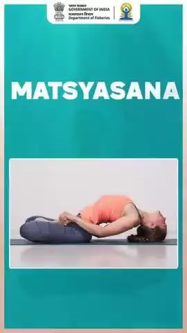 Matsyasana - The Fish Pose 
A gentle stretch for your back and chest. Place your hands under your thighs, press your elbows down, and lift your chest with care. Tilt your head back, feel the stretch, and breathe slowly.