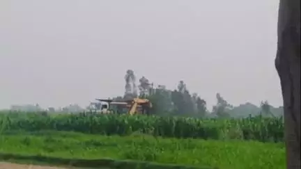 अमरोहा: डिडौली गांव में DNS कॉलेज के पीछे मिट्टी का खनन, डंपरों और जेसीबी का किया जा रहा है इस्तेमाल