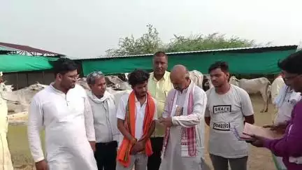 चकरनगर: गोसेवा आयोग के सदस्य ने बरचौली गौशाला का निरीक्षण किया, अव्यवस्था देख ग्राम प्रधान प्रतिनिधि पर भड़के