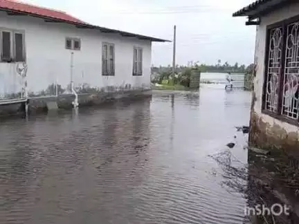 കുട്ടനാട്: എങ്ങനെ നീന്തിക്കയറും ഈ ദുരിതക്കയം, കാഞ്ഞിരം തുരുത്ത് റോഡ് ഉയർത്തണമെന്ന് ആവശ്യമുയരുന്നു #localissue
