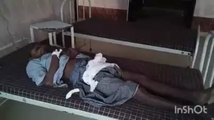 भभुआ: भभुआ कलेक्ट्रेट के पास लावारिस अज्ञात व्यक्ति की सदर में इलाज के दौरान हुई मौत, पुलिस ने कराया पोस्टमार्टम