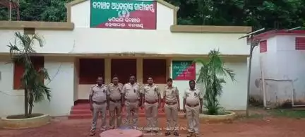 ଅନୁଗୋଳ: ଅନୁଗୋଳ ବନ ବିଭାଗର କ୍ଷେତ୍ର କର୍ମଚାରୀ ମାନେ କଳା ବ୍ୟାଚ ପିନ୍ଧି କାର୍ଯ୍ୟ କରୁଥିବା ସୂଚନା