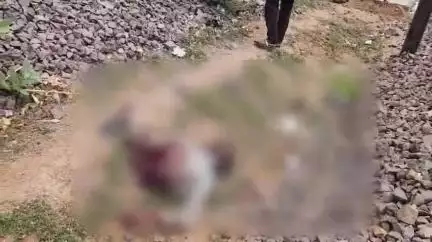 झांसी: बल्लमपुर रेलवे लाइन किनारे दो हिस्सों में मिला व्यक्ति का शव, परिजनों का आरोप- हत्या कर शव को रेल लाइन पर फेंका गया