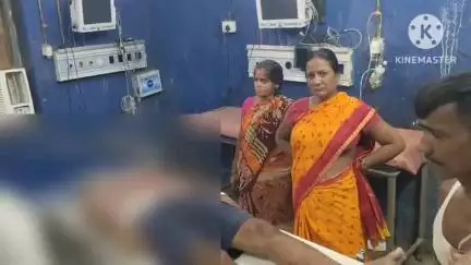 नवादा: पकरीबरावां के एरूरी में जमीनी विवाद को लेकर चाचा-भतीजा में जमकर भांजी गई लाठियां, सदर अस्पताल नवादा में चल रहा इलाज
