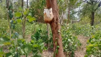 लालबर्रा: सिवनी रोड स्थित मुस्लिम कब्रिस्तान में टोना-टोटका की आशंका से हड़कंप, इमामों और पुलिस की निगरानी में सामग्री दफन