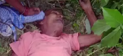 कहलगांव: अकबरपुर स्कूल के पास अनियंत्रित पिकअप की टक्कर से 48 वर्षीय व्यक्ति की मौत