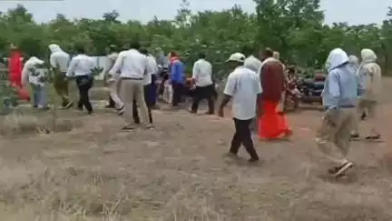 कुरई: लावेसर्रा में सीडब्ल्यूसी निरीक्षण दल ने हाईटेक वृक्षारोपण कार्य का निरीक्षण किया