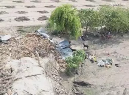 निवाड़ी: ग्राम जोरा मोरा में वन भूमि पर अतिक्रमण, प्रशासन ने मौके पर पहुंचकर हटाया कब्जा