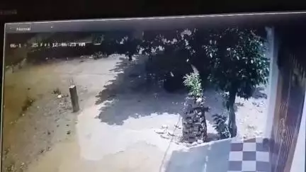 छतरपुर नगर: ललोनी तिराहे पर घर के बाहर से साइकिल हुई चोरी, घटना का CCTV फ़ुटेज आया सामने