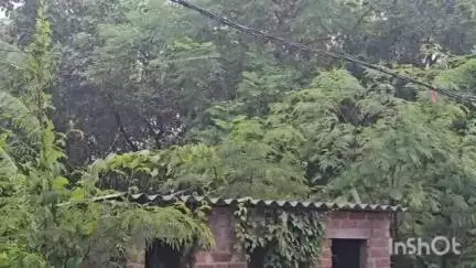 વાપી: શહેર અને વાપી જિલ્લામાં વરસાદનું આગમન,  શહેરના વિવિધ વિસ્તારમાં વરસાદ વરસ્યો, વાહનોની રફતાર ધીમી પડી