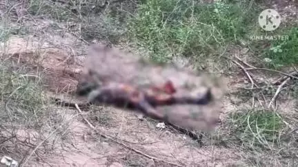 జనగాం: జిల్లా కేంద్రంలోని యశ్వంతాపూర్ వాగులోని శ్మశాన వాటికలో గుర్తు తెలియని మృతదేహం లభ్యం, దర్యాప్తు చేస్తున్న పోలీసులు
