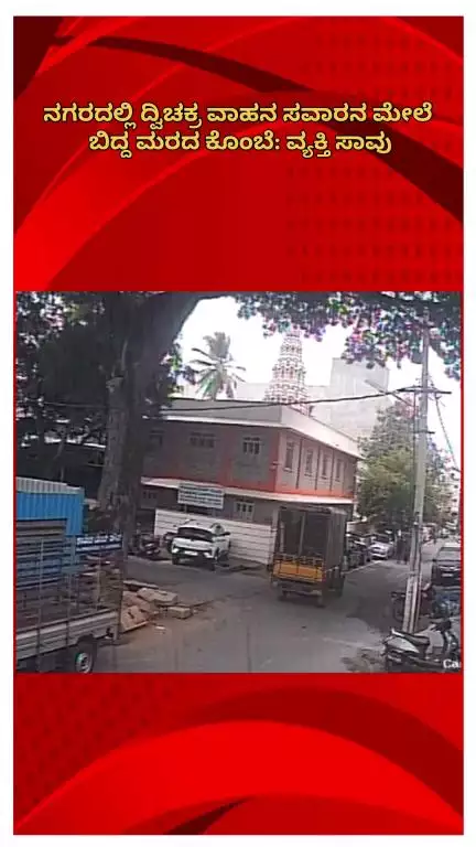 ಬೆಂಗಳೂರು ದಕ್ಷಿಣ: ನಗರದಲ್ಲಿ ದ್ವಿಚಕ್ರ ವಾಹನ ಸವಾರನ ಮೇಲೆ‌ ಬಿದ್ದ ಮರದ ಕೊಂಬೆ: ವ್ಯಕ್ತಿ ಸಾವು