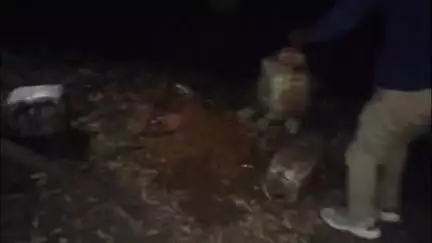 सिवनी: भुरकल खापा के पास जंगल में डूंडा सिवनी पुलिस ने 3 क्विंटल महुआ लहान जब्त कर किया नष्ट
