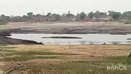 वाशिम: जिल्ह्यात 55 प्रकल्प कोरडेठाक; जलसाठा केवळ 11.39 टक्केच