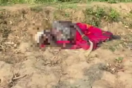 करछना: नेवती स्थित मार्ग के बगल वृद्ध महिला का शव मिलने से फैली सनसनी, पुलिस ने पोस्टमार्टम के बाद जांच शुरू की