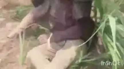 बिजनौर: मंडावर के गांव शीमला खुर्द में गन्ने की फसल जोतने को लेकर दो पक्षों में खूनी संघर्ष #vayral